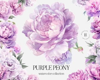 Watercolor Purple Peonies Clipart: Wedding Floral PNG (Digital Download)