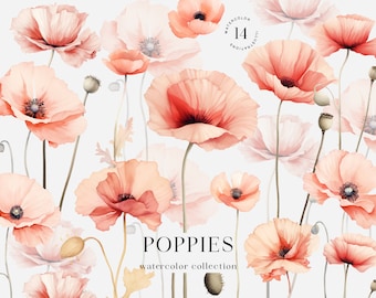 Watercolor Poppy Clipart: Red Floral DIY PNG (Digital Download)