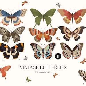 Vintage Butterfly Clipart Set: PNG Illustrations (Digital Download)