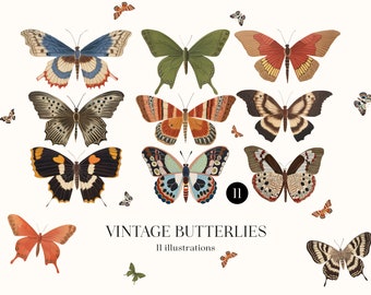 Vintage Butterflies Clipart Set, Vintage Butterfly Illustrations, Butterflies png, Digital Download Commercial Use, Collage, Junk Journal