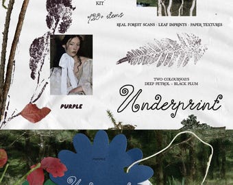 Impronte di foglie e scansioni forestali: kit digitale per collage botanici con texture di carta