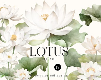 Watercolor Lotus Clipart: Dreamy Floral PNG Set (Digital Download)