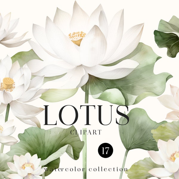 Aquarell weißer Lotus Blumen Clipart - Verträumte Blumen png - Blumen Clipart für Einladungen - Lotus Blumenstrauß Kranz - Digitale Clipart PNG
