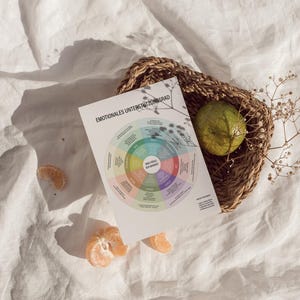 Puede incluir: Un gr&aacute;fico circular multicolor con el texto alem&aacute;n "EMOTIONALES UNTERST&Uuml;TZUNGSGRAD" dentro de una cesta tejida con una fruta verde. Dos gajos de mandarina est&aacute;n sobre una tela blanca.
