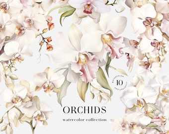 Watercolor Orchid Clipart. White Watercolor Floral Wedding clipart png. Orchid Wreath, borders. Orchid bouquets clipart. Digital flowers PNG
