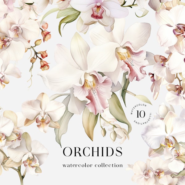 Clipart orchidée aquarelle. Clipart de mariage floral aquarelle blanche png. Couronne d'orchidées, bordures. Clipart de bouquets d'orchidées. Fleurs numériques PNG