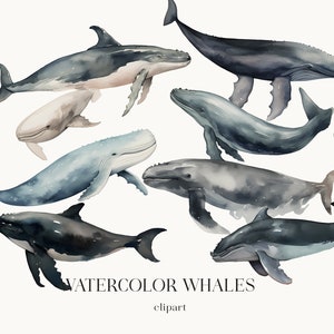 Clipart baleine aquarelle, clipart dauphin, animaux marins aquarelle, illustration de baleine bleue et grise, décoration de chambre d'enfant, téléchargements d'impressions d'art