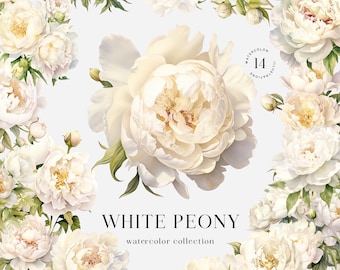 Watercolor White Peonies png clipart. Peony flowers clipart. Romantic Wedding Floral clipart. Wedding invite card DIY. Digital PNG clipart