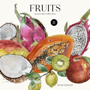 Watercolor Tropical Fruits Clipart. Fruit PNG Elements Download. Coconut Papaya Peach Dragon Fruit Lemon Kiwi Mango PNG illustrations