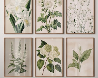 Vintage Floral Gallery Wall Print Set - 20 Neutral Botanical Art Prints, Digital Download