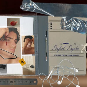May include: A beige binder with the text "No. PURPLE No. Perfect Psycho FOLDERS, FILES & PAPER OBJECTS" featuring a metal clip, white wired earbuds, and a plastic sleeve containing photographs. A metal ruler shows a length of 15 cm at the bottom.