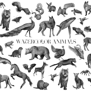 Animales monocromáticos en acuarela. Set de imágenes prediseñadas digitales de acuarela. Imágenes prediseñadas de animales del bosque y del océano, acuarela, uso comercial.
