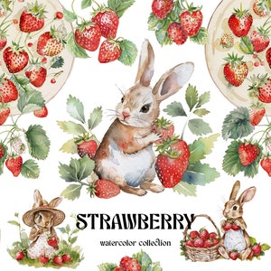 Ensemble de cliparts mignon lapin et fraises. Clipart de texture aquarelle lapin. Clipart fraises à usage commercial. Fichier numérique PNG.