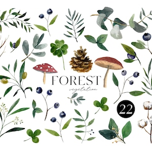 Aquarel bosgroen clipart. Bosbessen, eucalyptus, katoen, bessen, bladeren, dennenappel, paddenstoelen aquarelillustraties