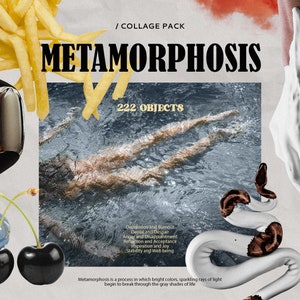 Metamorfosis. Paquete de collage digital - Creador. Creador de collages vintage. 222 imágenes para Photoshop, Procreate, Canva / Salud mental.