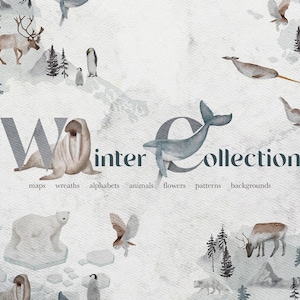 Aquarell Winter Kollektion: Weihnachten Arktische Tiere Clipart & Tier Alphabet Design Set