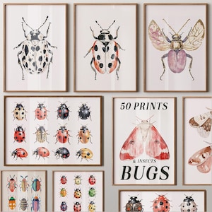 May include: A set of 50 printable illustrations of bugs and insects, including ladybirds, moths, and beetles. The prints feature watercolour illustrations in various colours, including red, black, white, and green. The text "50 PRINTS & INSECTS BUGS" is displayed on one of the prints.
