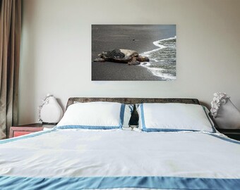 Resting Honu - Hawaiian Sea Turtle Metal Print | Hawaiian Ocean | Hawaii Wall Art | Home Decor | Hawaii Beach | Photography | Ocean Life