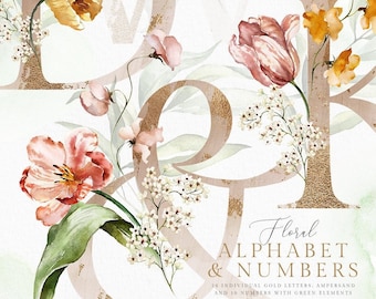 Alfabet aquarel Blush Rose goud roze perzik ampersand nummer bloemen bloemen kunst bruiloft uitnodiging png belettering babyshower lettertype clipart