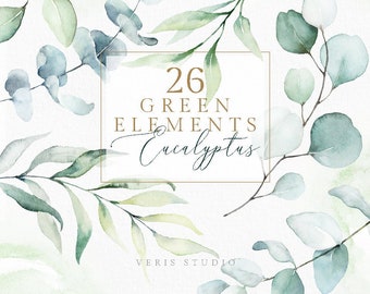 May include: Watercolor illustration of 26 green eucalyptus leaves in various shades of green and blue. The text "26 GREEN ELEMENTS Eucalyptus" is in a gold frame.