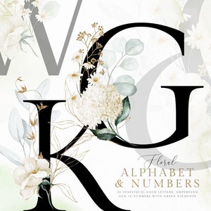 Schwarz Weiß Gold Grün Eukalyptus Alphabet Ampersand Zahl Aquarell Blumen Clipart Hochzeit Einladung png Pfingstrose Rose Kamille Buchstaben