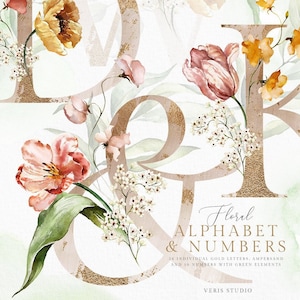 Alphabet aquarelle Blush Rose or rose pêche esperluette nombre fleurs florales art faire-part de mariage png lettrage baby shower police clipart