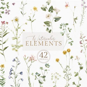 Aquarelle fleurs sauvages d'été couleur verte champ fleur floral ensemble éléments bouquet faire-part de mariage feuilles clipart PNG modèle branches