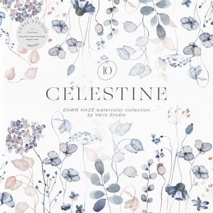 Clipart z dzikimi kwiatami Celestine Navy Blush, akwarelowa suszona hortensja Lunaria, wianek z maków, obramowanie PNG, 10-częściowy zestaw ślubny Dawn Haze