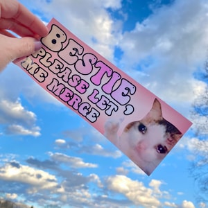 Custom Car Sticker - Funny Sticker - Funny decal - Cute Sticker - Car Decoration - Car Accessories - Vinyl Decal for car - Bumper Sticker