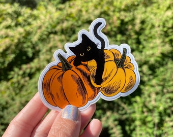 Pegatina de gato negro de Halloween: Calabazas espeluznantes, calcomanía para botella de agua