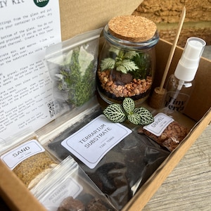 May include: A terrarium kit presented in a cardboard box. The kit contains a glass jar with a cork lid, a spray bottle, sand, gravel, activated charcoal, and terrarium substrate. The jar holds a small plant and decorative stones.