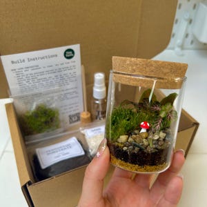 DIY Mini Mushroom Terrarium Kit | Build Your Own Living Ecosystem Kit