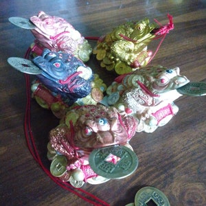 Può includere: Quattro statuine di rana in ceramica, ciascuna con una moneta in bocca. Le rane sono dipinte in diversi colori, tra cui oro, rosso, nero e marrone. Le rane sono sedute su una superficie di legno e sono collegate da uno spago rosso.