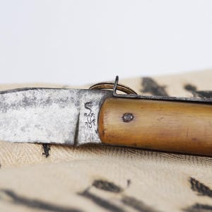 Circa 1900 pocket knife with lizard blade, Tarry Levigne style, horn/mother-of-pearl handle- Salamander Mark