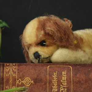 Vintage Mohair Toy Steiff  Puppy Dog