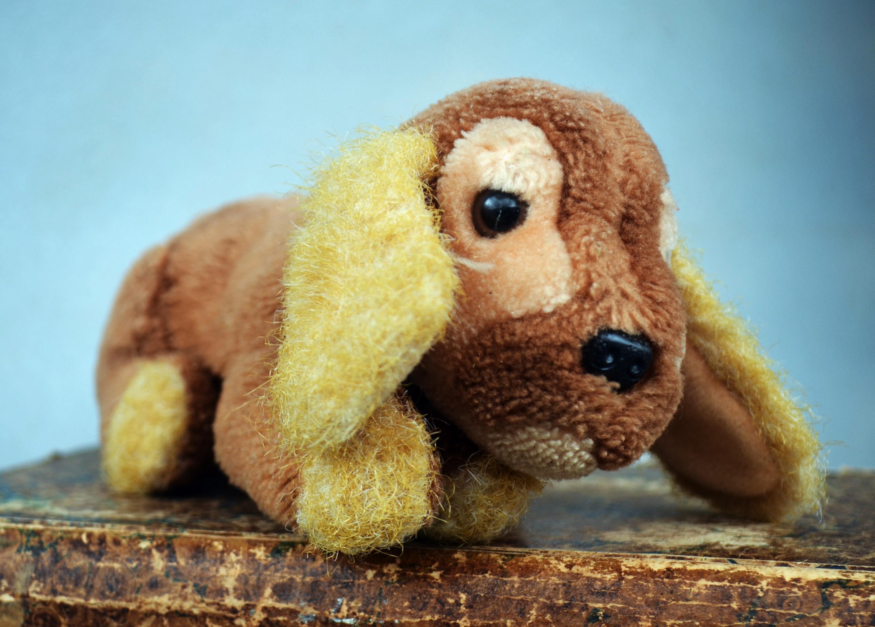ハーマンテディ HERMANN TEDDY ヴィンテージ ぬいぐるみ ダックス Hermann teddy dog - Etsy 日本