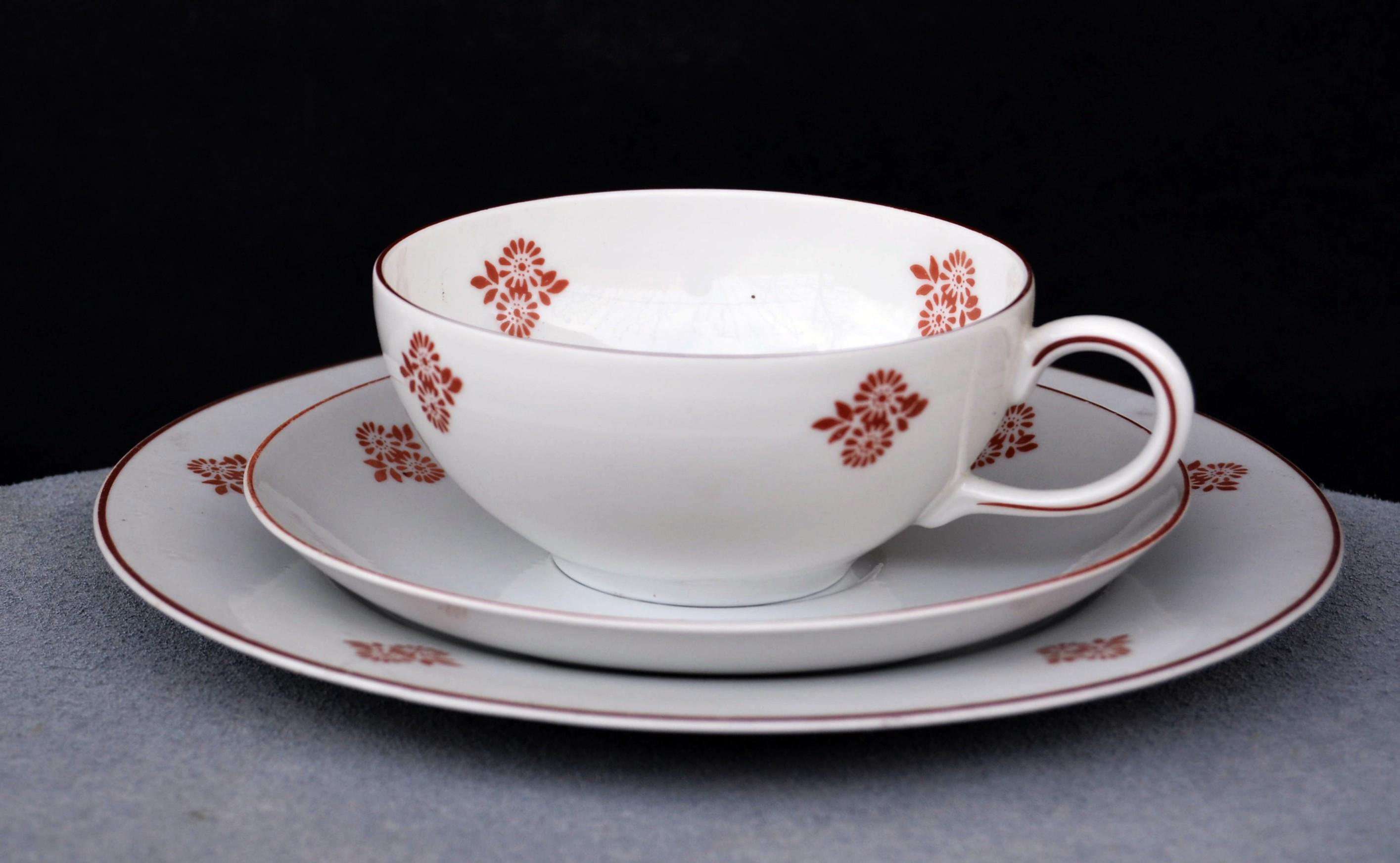 Vintage Volkstedt Germany Porcelain Tea Set: Mid Century Coffee