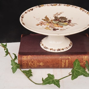 Early 1900 Terre de Fer ? HB and Cie Transferware Compot / Stand / Fruit Dish