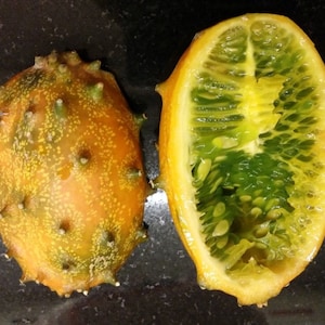 Kiwano, Horned Melon, Spiked Melon, Jelly Melon 30 Fresh Seeds