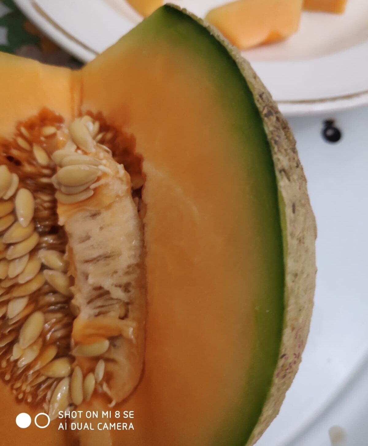 Yubari King Melon 30 Fresh Seeds Etsy