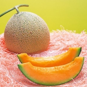 Yubari King Melon - 30 Fresh Seeds