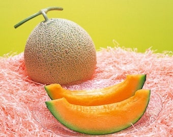 Yubari King Melon - 30 Frische Samen