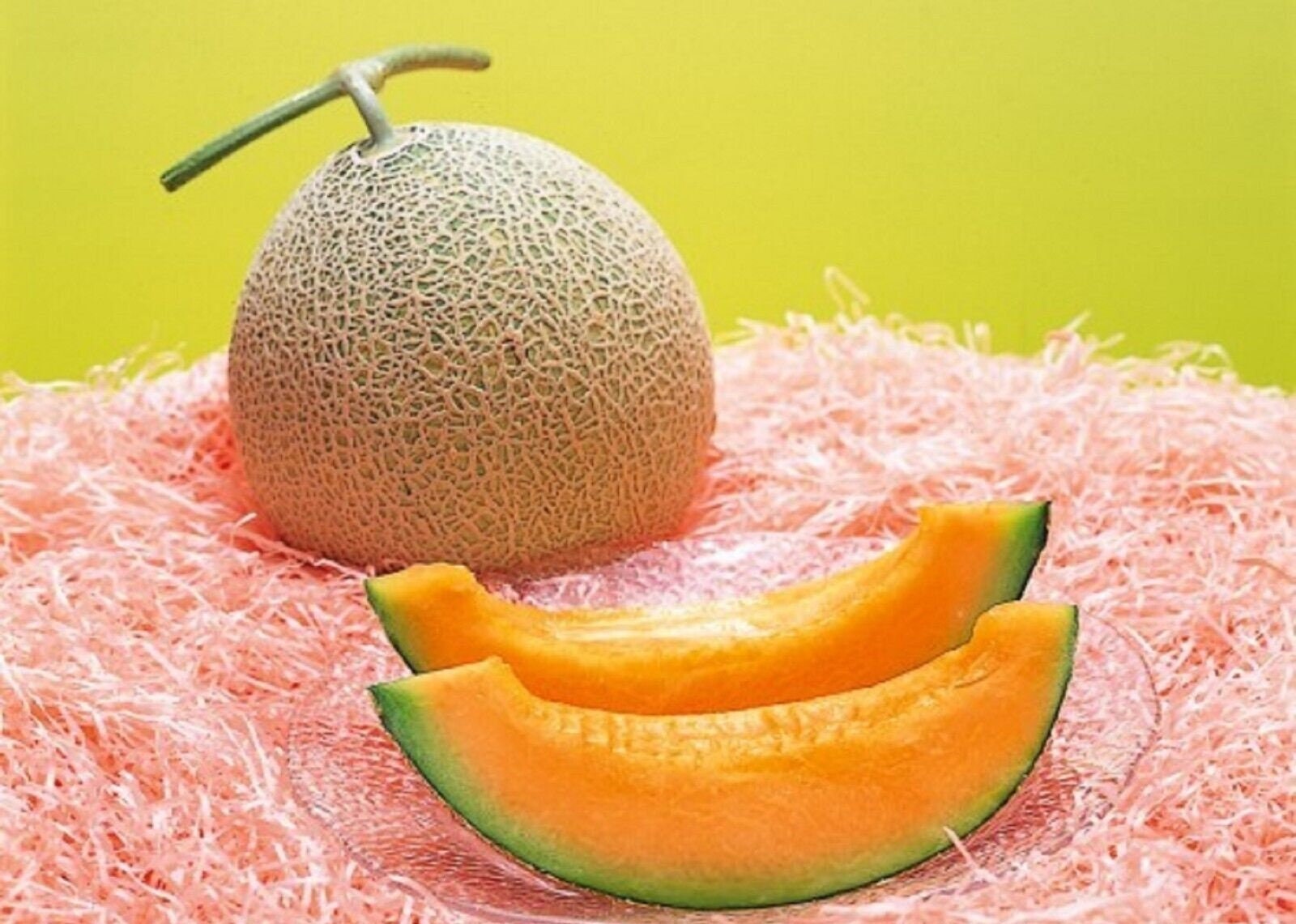 Yubari King Melon 30 Fresh Seeds Etsy