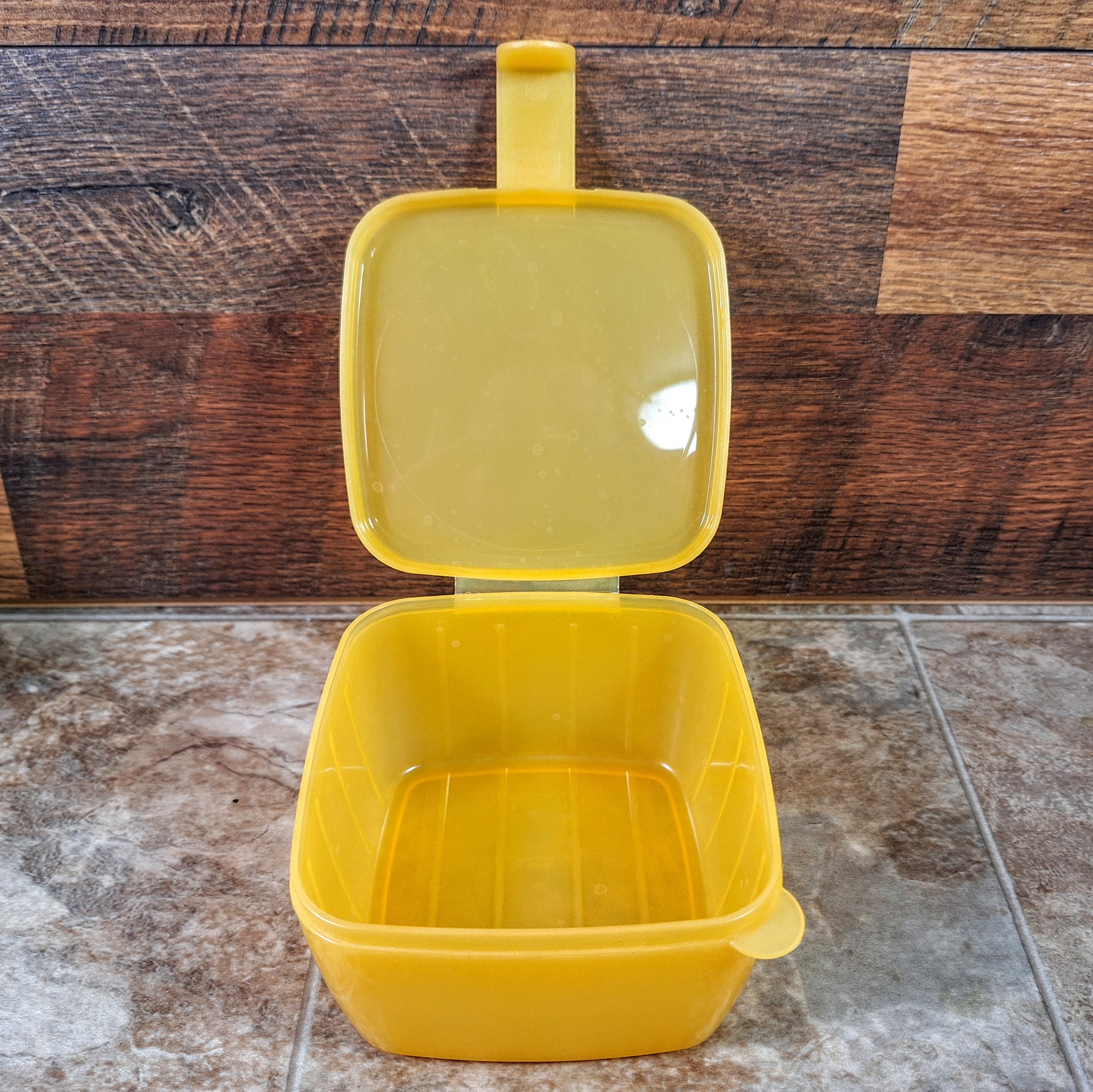 Vintage Tupperware Refrigerator Storage Boxes: Forget Me Not