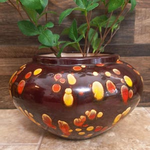 May include: A brown ceramic vase with a glossy finish, adorned with yellow, orange, and red polka dots. The vase is filled with green leafy plants, creating a decorative and colorful display. The vase is a decorative item.