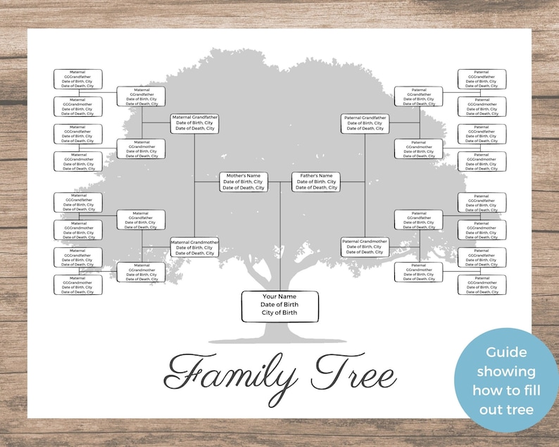 Family Tree Template 5 Generation Great for Family Reunion - Etsy