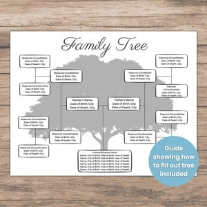 Family Tree Template 4 Generation, Editable Family Tree Template, Great ...