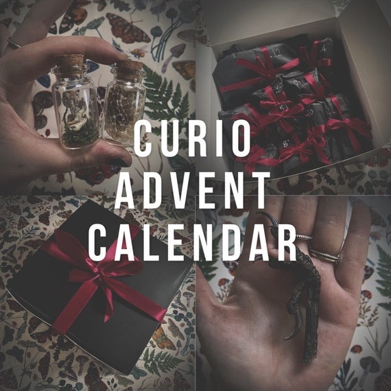Oddities Advent Calendar Oddities and Curiosities 12 Day Etsy UK