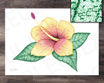 The Hibiscus | Molecule Art | Print | Poster | Science | Chemistry