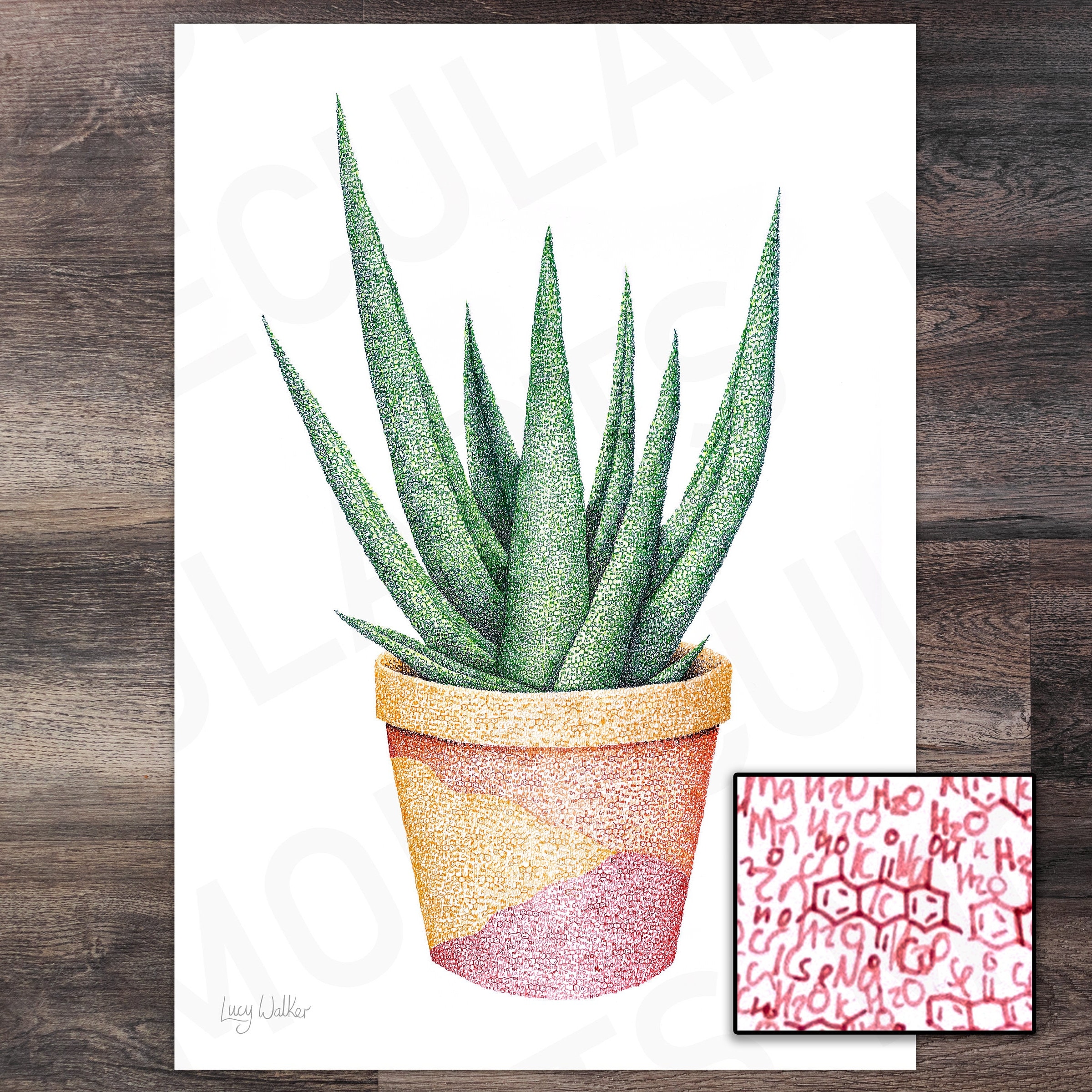 Aloe Vera | Molecule Art | Print | Poster | Science | Chemistry - Etsy  Finland